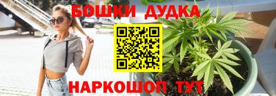 PSILOCYBIN Нарткала