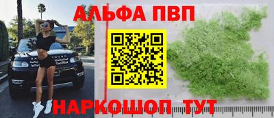 стафф Моздок