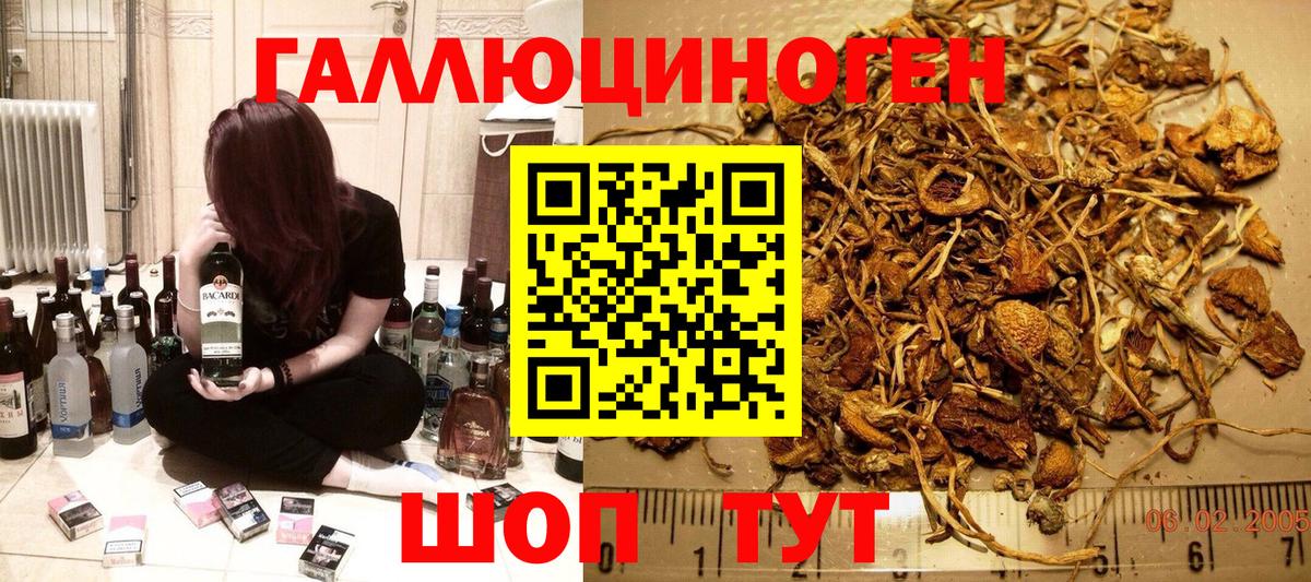 Сызрань  Галлюциногенные грибы прущие грибы  Вход с VPN  Псилоцибиновые грибы MAGIC MUSHROOMS 