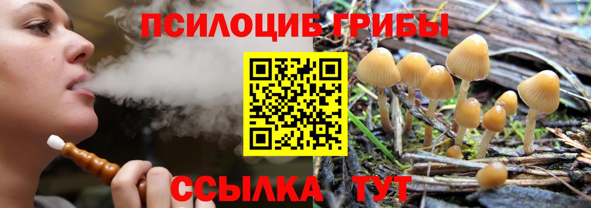 Псилоцибиновые грибы GOLDEN TEACHER Сызрань